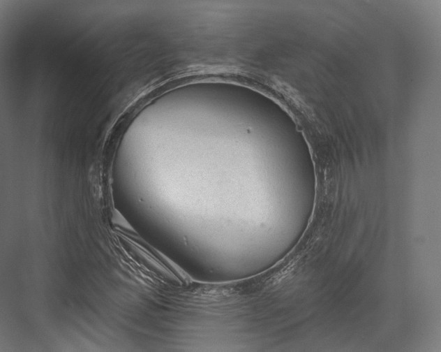 X0000076301165200610061256