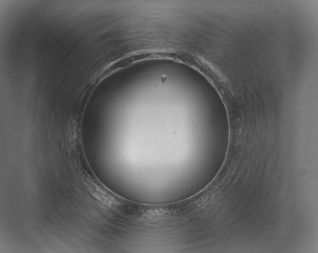 X0000076301169200610061256