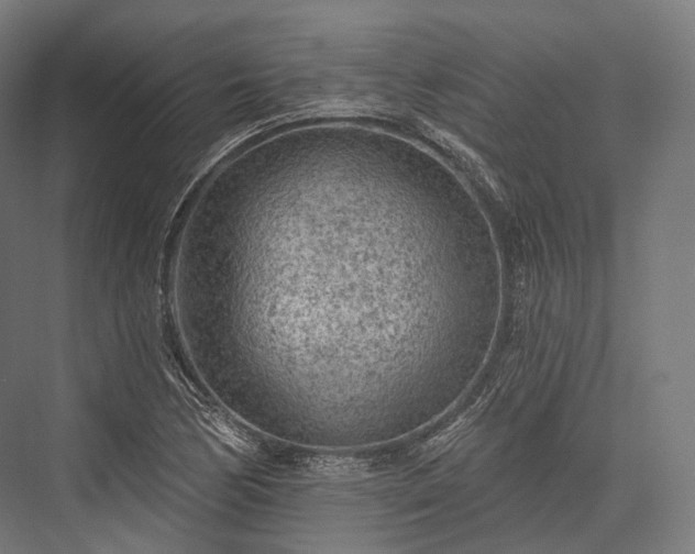 X0000076301170200610061256