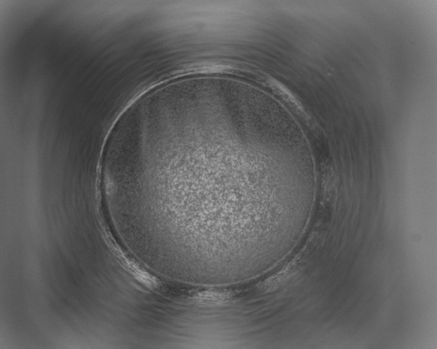 X0000076301178200610061256