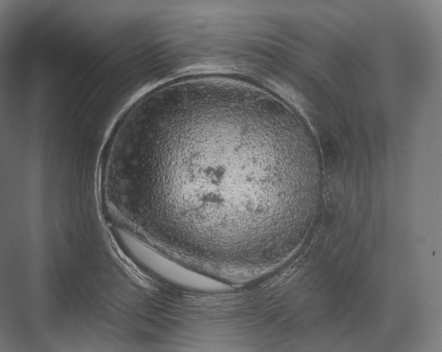 X0000076301179200610061256