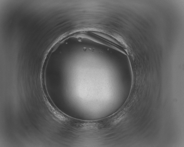 X0000076301181200610061256