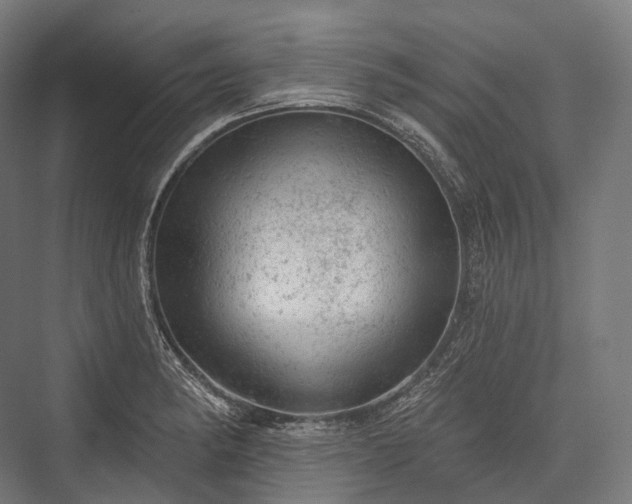 X0000076301182200610061256