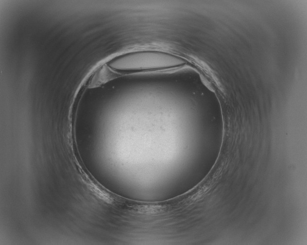 X0000076301184200610061256