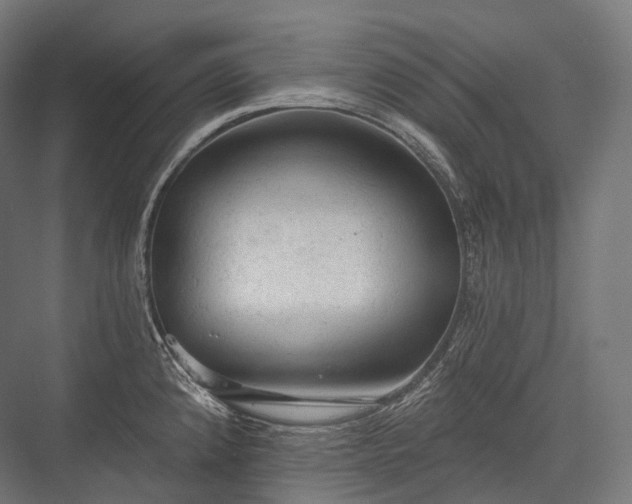 X0000076301192200610061256