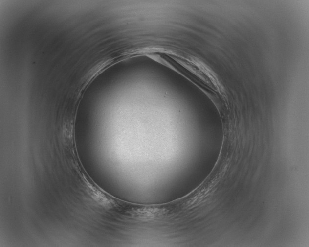 X0000076301193200610061256