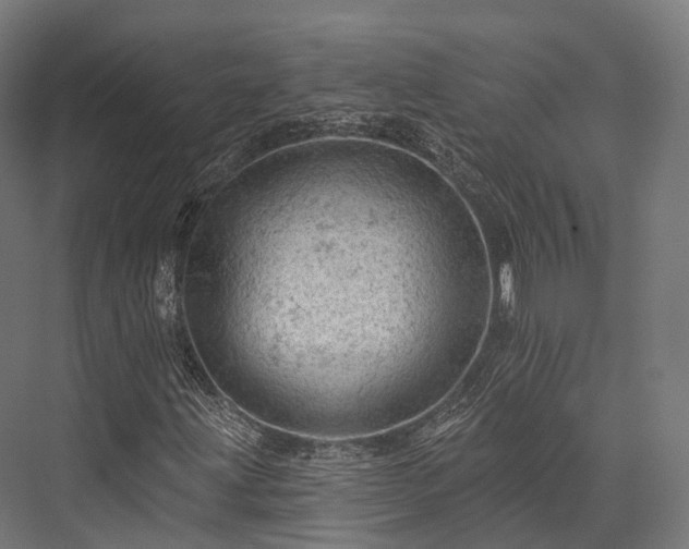 X0000076301203200610061255