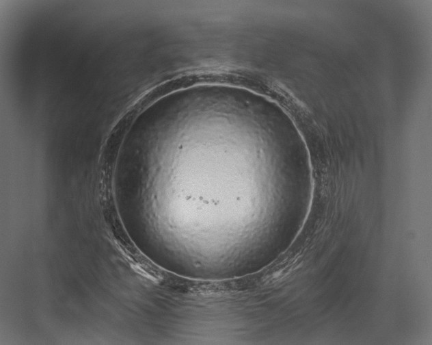 X0000076301208200610061255