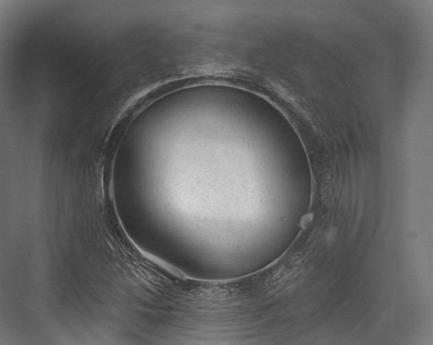 X0000076301214200610061255