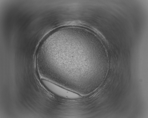 X0000076301224200610061255