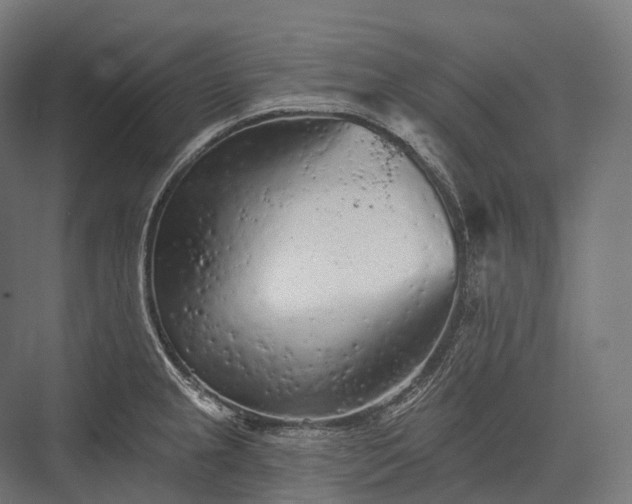 X0000076301237200610061255