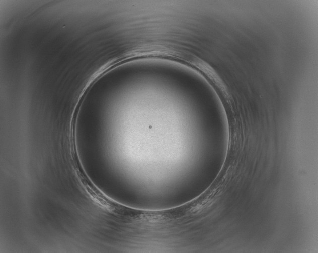 X0000076301242200610061256