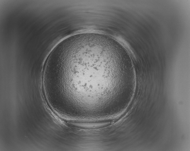 X0000076301244200610061256