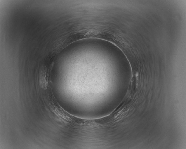 X0000076301250200610061255