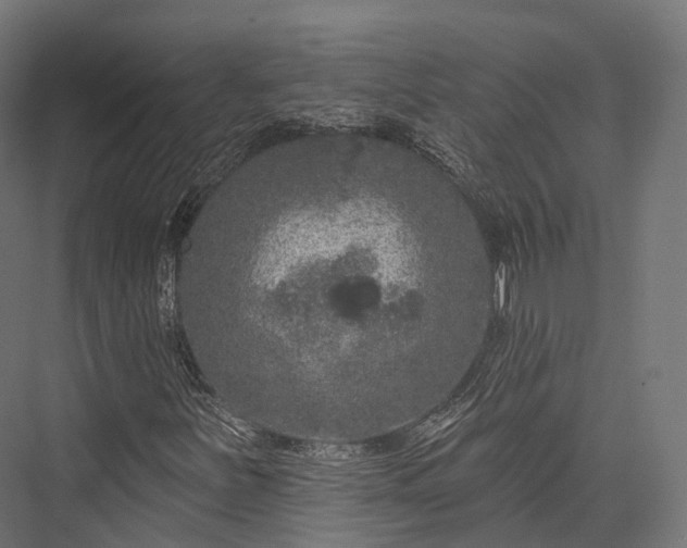 X0000076301251200610061255