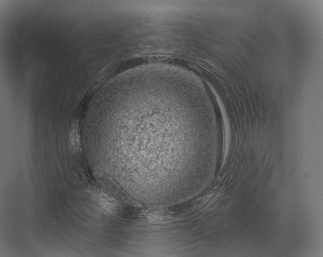 X0000076301252200610061255