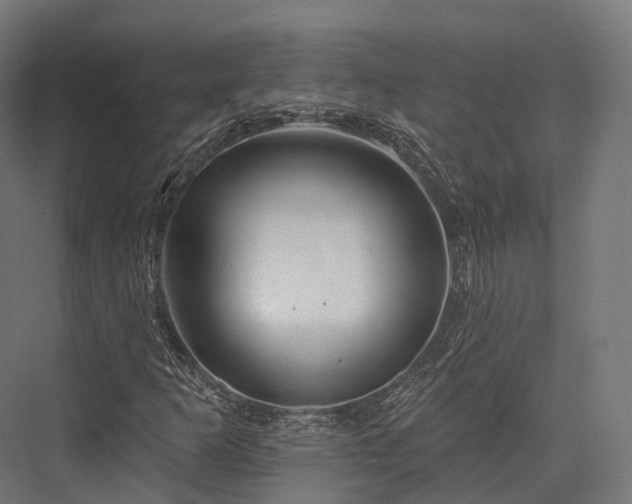 X0000076301253200610061255