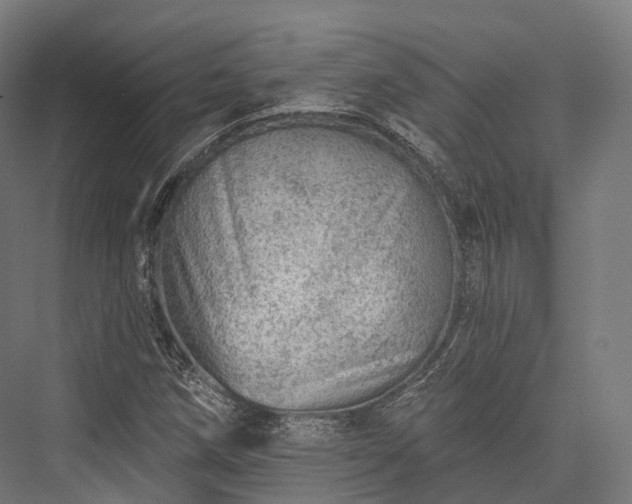 X0000076301258200610061255