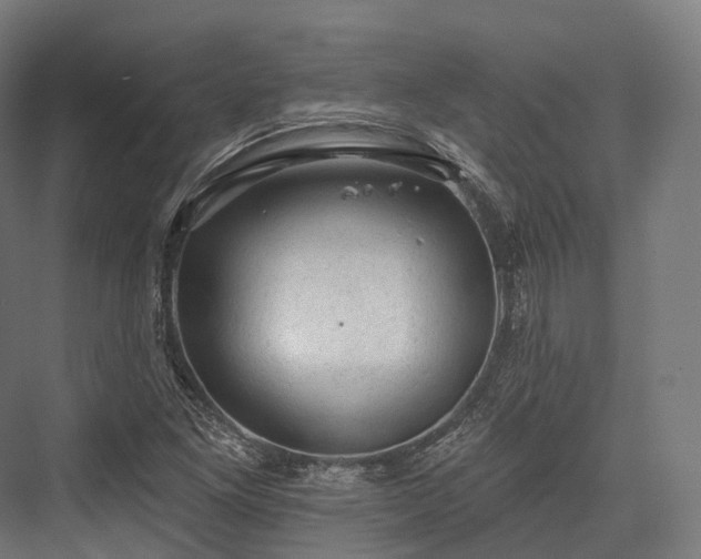 X0000076301261200610061255