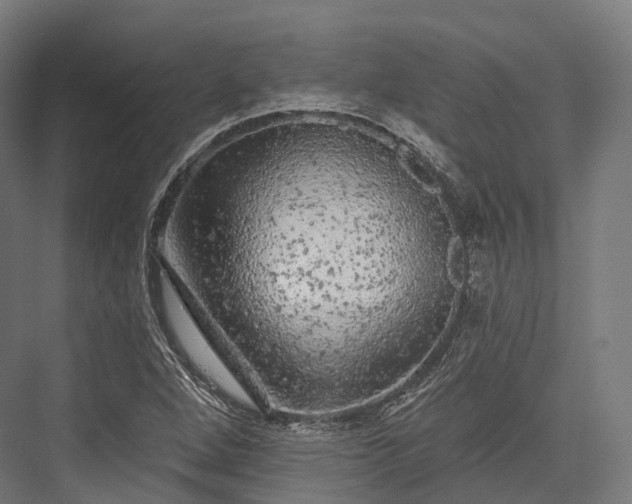 X0000076301264200610061255
