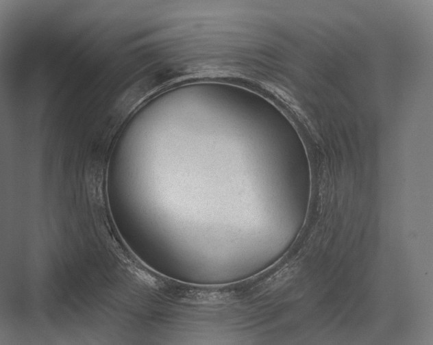 X0000076301273200610061254