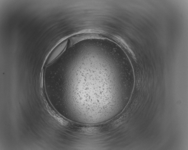 X0000076301276200610061254