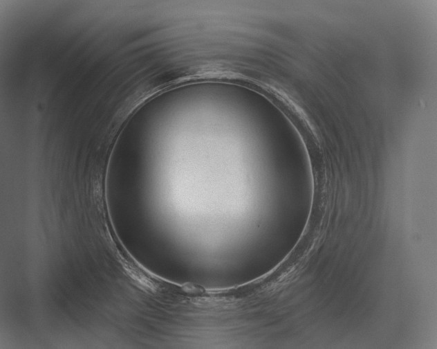 X0000076301281200610061254