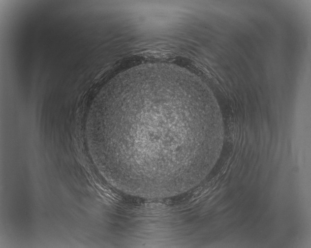 X0000076301297200610061253