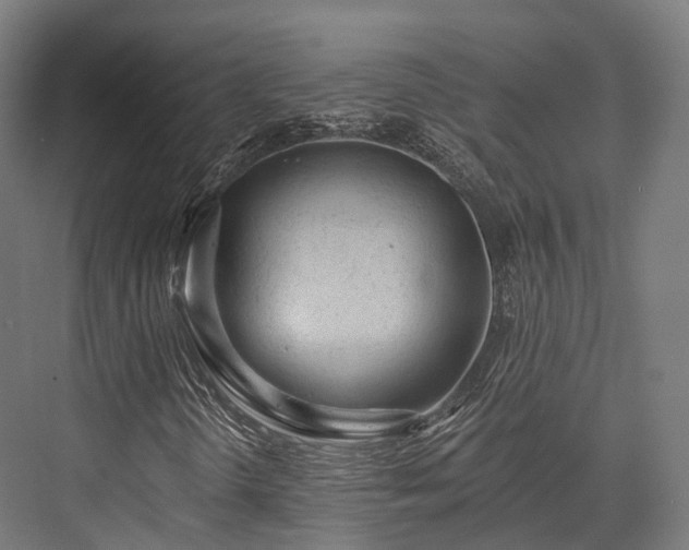 X0000076301298200610061253