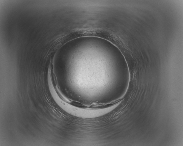 X0000076301300200610061253