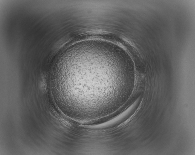 X0000076301305200610061253