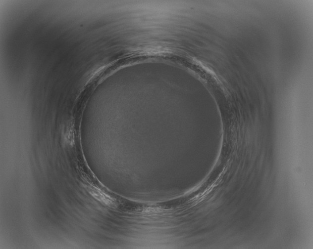 X0000076301306200610061253