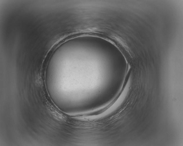 X0000076301308200610061253