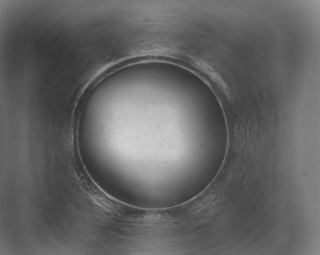 X0000076301316200610061254