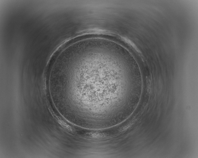 X0000076301318200610061254