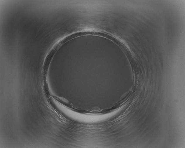 X0000076301319200610061254