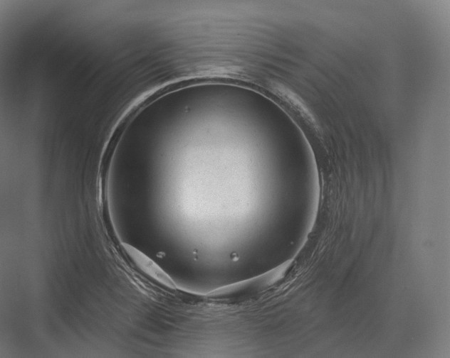 X0000076301324200610061254