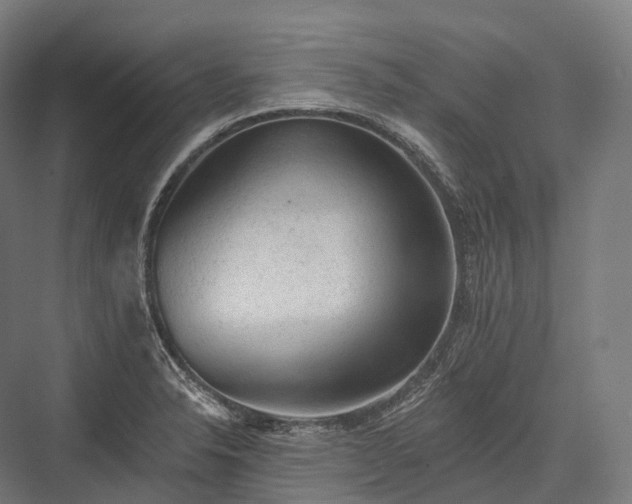 X0000076301326200610061254