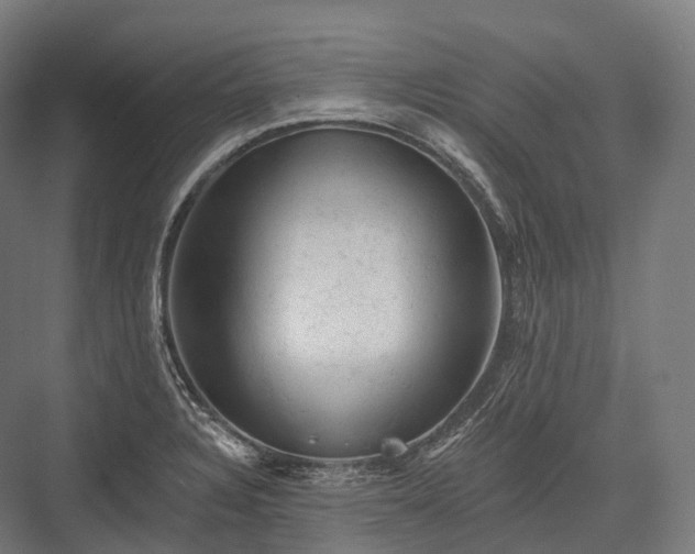 X0000076301328200610061254