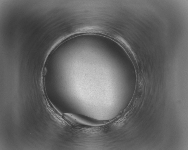X0000076301336200610061254