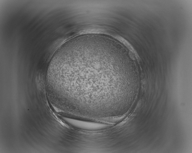 X0000076301337200610061254