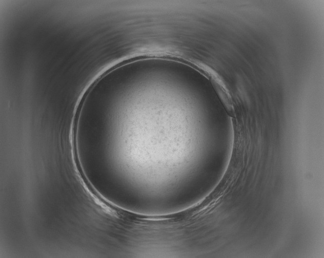 X0000076301343200610061254