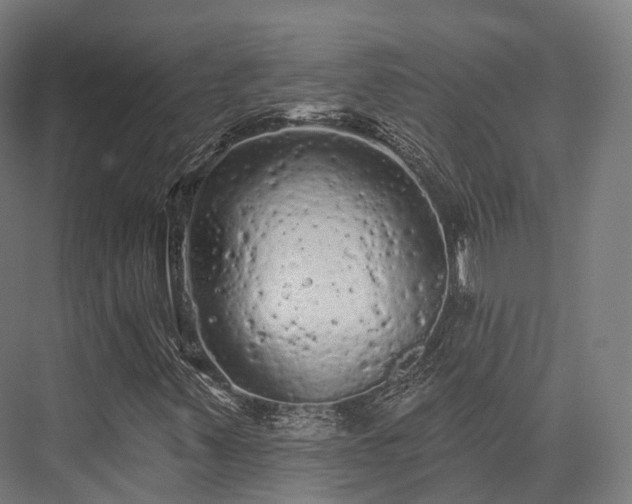 X0000076301347200610061253