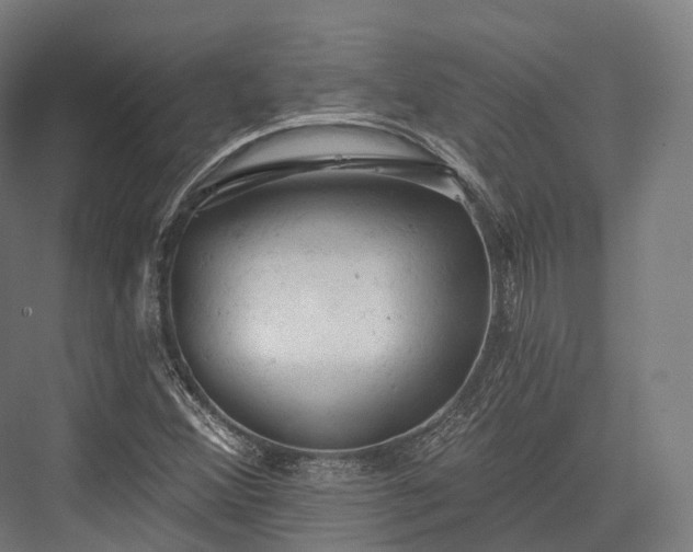 X0000076301356200610061253