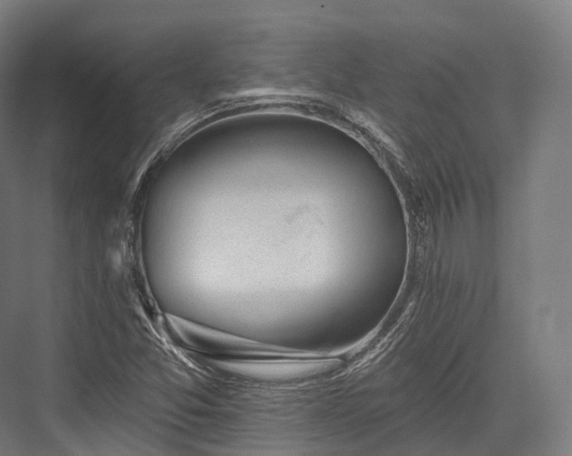 X0000076301357200610061253