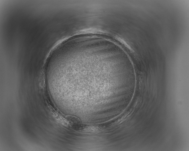 X0000076301358200610061253