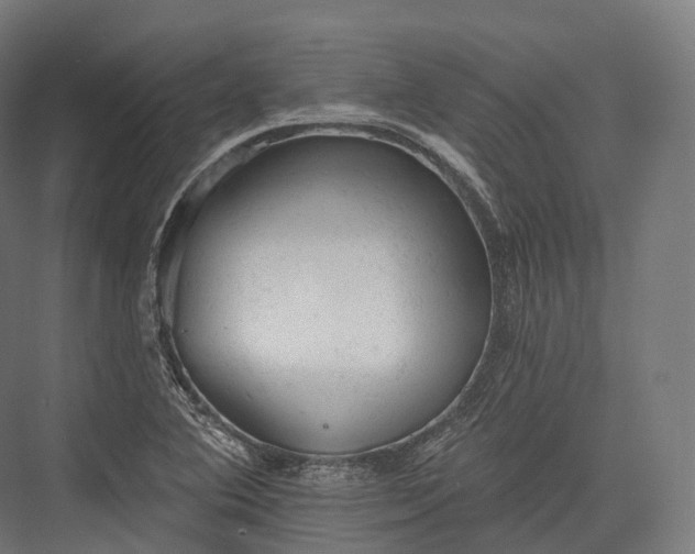 X0000076301364200610061253