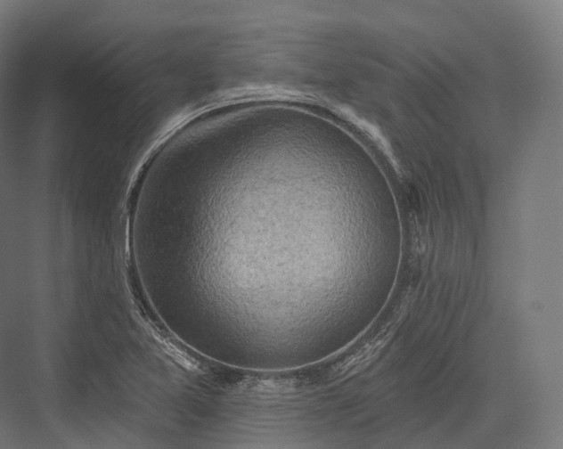 X0000076301365200610061253