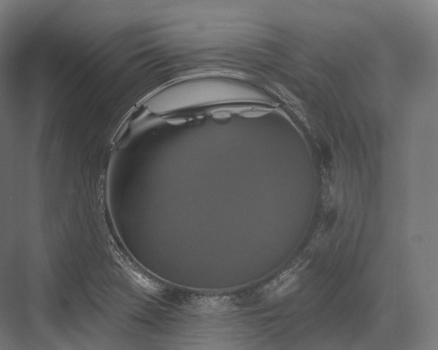 X0000076301369200610061253