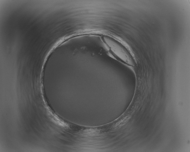 X0000076301373200610061253